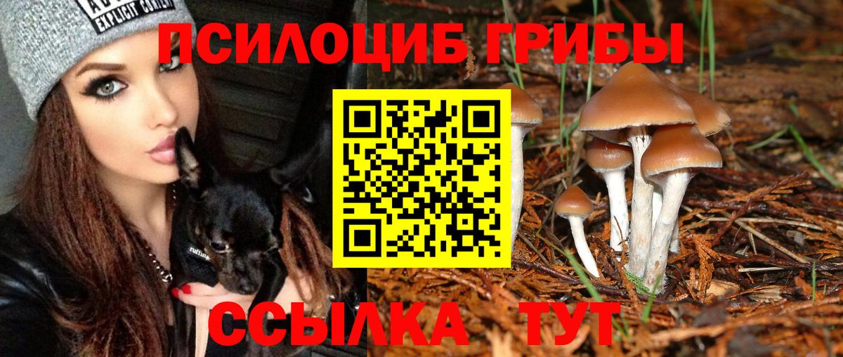 Псилоцибиновые грибы Magic Shrooms  Галлюциногенные грибы мицелий  Вход с VPN  Углич 